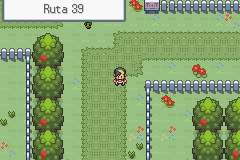 Camino de la Ruta 39 hacia MooMoo Farm
